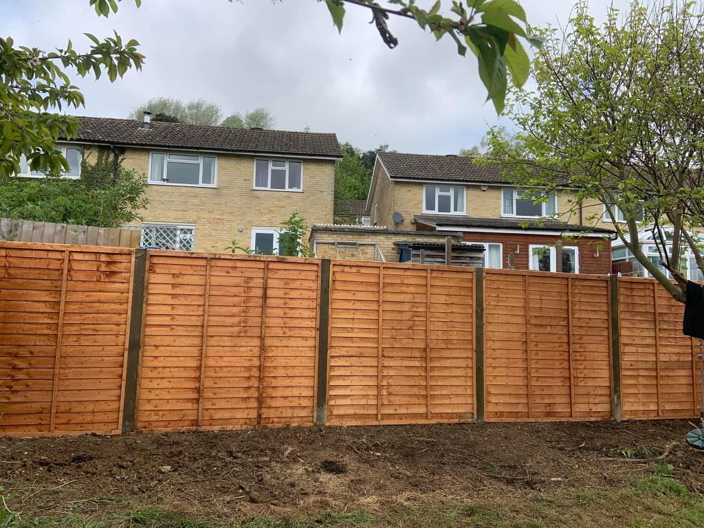 Conifer after with new fence